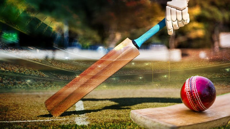 Light Weight Cricket Helmet