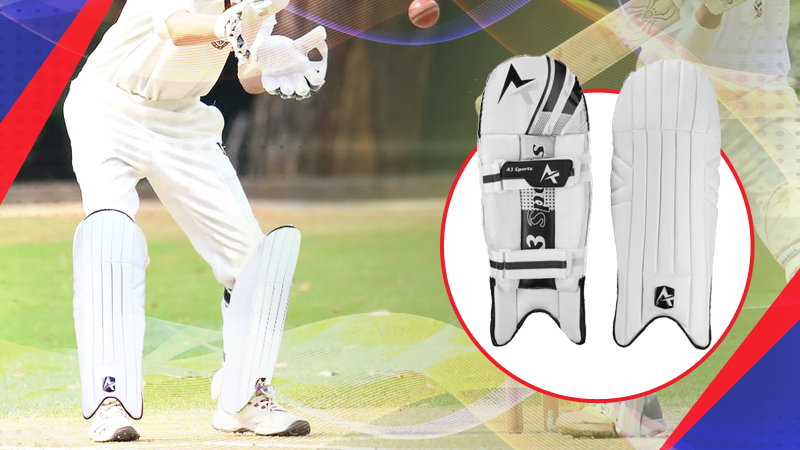 Wicket Keeping Pad