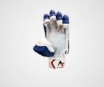 A3 Sports Cricket Batting Gloves Signature Edition - Image 4