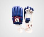 A3 Sports Cricket Batting Gloves Signature Edition