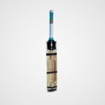 A3 Sports Kashmir Willow Scoop Bat [Double Blade]