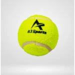 Tennis Ball for Cricket Practice