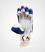 A3 Sports Cricket Batting Gloves Signature Edition - Image 4