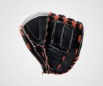 Catcher's Mitt Elite Edition
