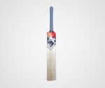 Kashmir Willow Cricket Bat for Tennis Ball - Image 4