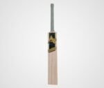 Kashmir Willow Cricket Bat - Professional Grade - Image 2