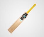 Special Grade PAK Willow Cricket Bat - Image 4