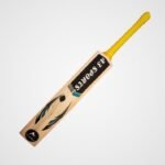 Special Grade PAK Willow Cricket Bat