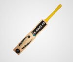 Lite English Willow Bat