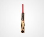 A3 Sports Lite Plus Professional Cricket Bat
