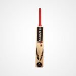 A3 Sports Lite Plus Professional Cricket Bat