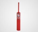 Sandhu Tennis Ball Cricket Bat - Image 3