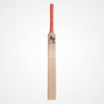 Technic Training Bat (Middling Bat)