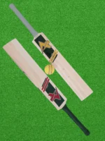 Kashmir Willow Cricket Bat - Professional Grade - Image 2