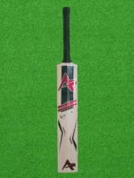 Kashmir Willow Cricket Bat - Professional Grade - Image 3