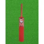 Sandhu Tennis Ball Cricket Bat - Image 4